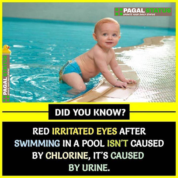 Do you know? Red irritated eyes after swimming pool aren't caused by chlorine, it's caused by urine