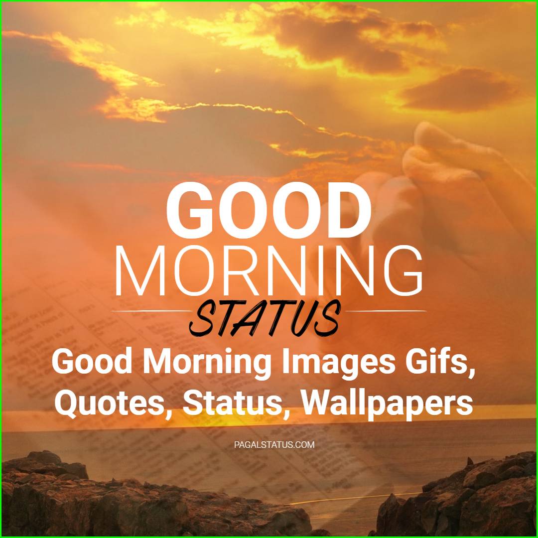 Good Morning Images Gifs, Quotes, Status, Wallpapers