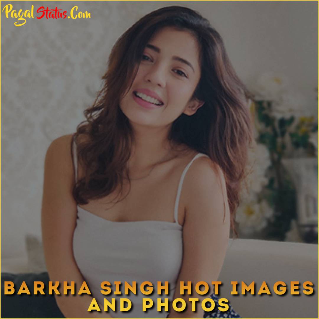 Barkha Singh Hot Images And Photos