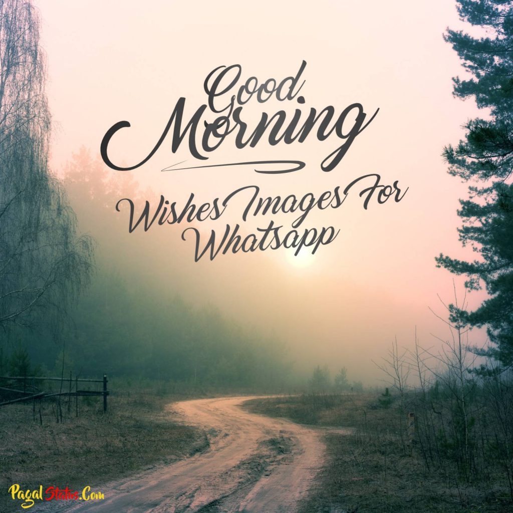 Good Morning Wishes Images For Whatsapp Download PagalStatus.Com