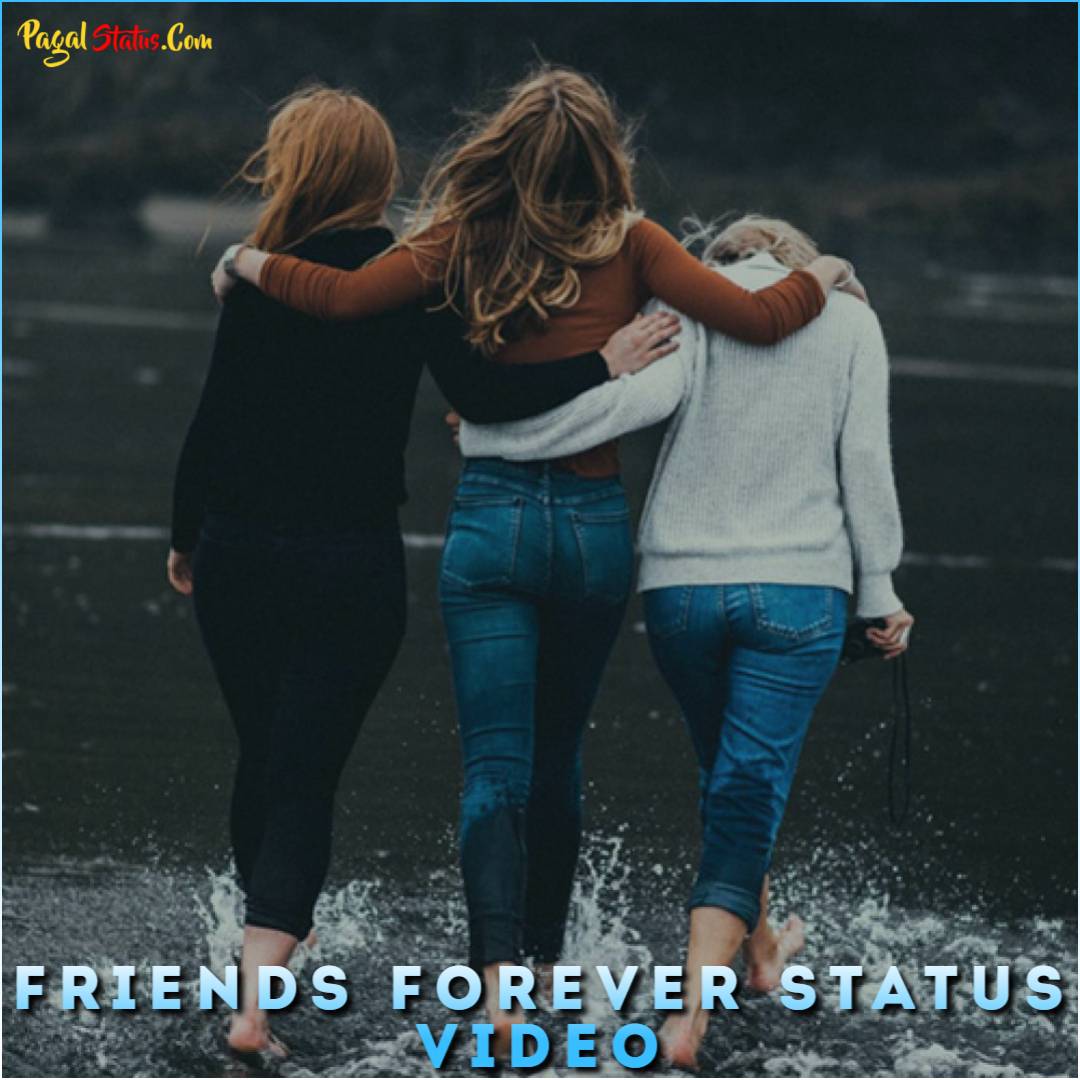 Friends Forever Status Video Download, Best Friendship Status Videos