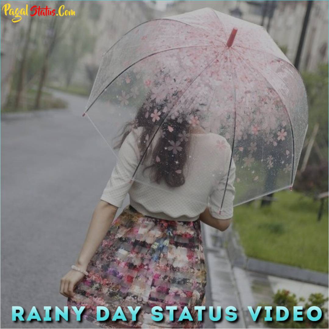 Rainy Day Status Video Download, Rain Day Barish Status Videos