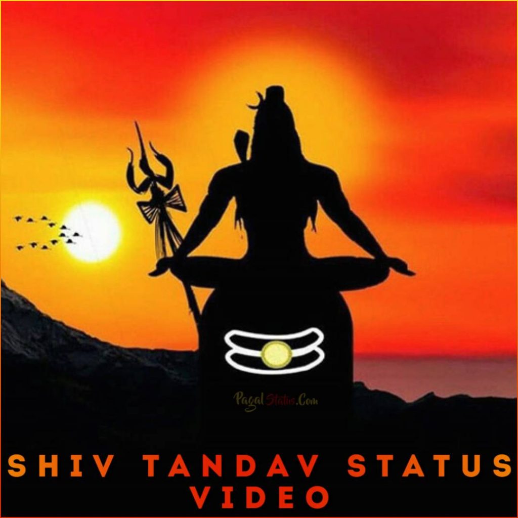 Shiv Tandav Status Video