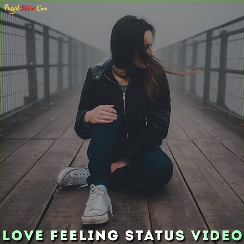 Love Feeling Whatsapp Status Video