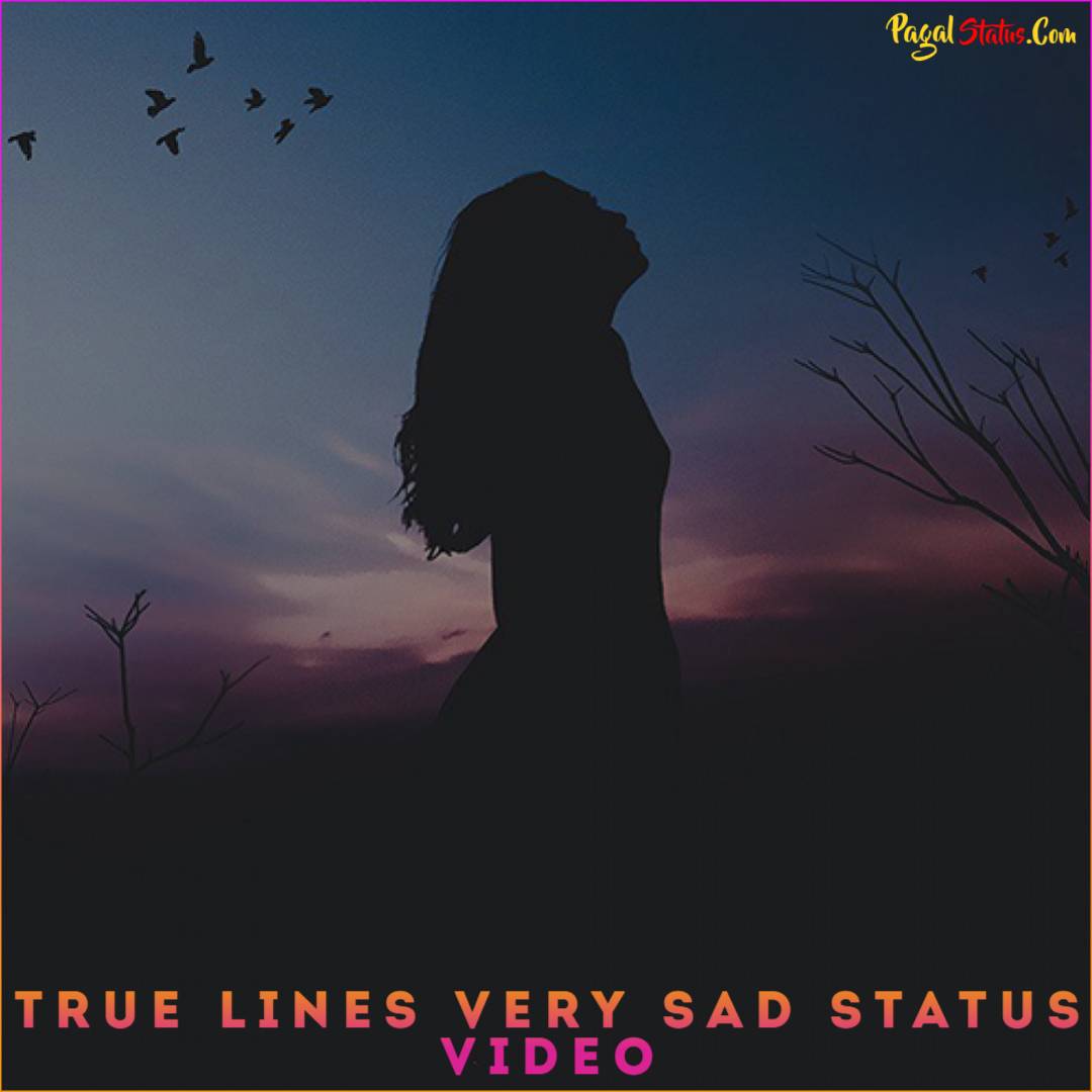True Lines Very Sad Status Video Download, Sad Poetry Status Videos