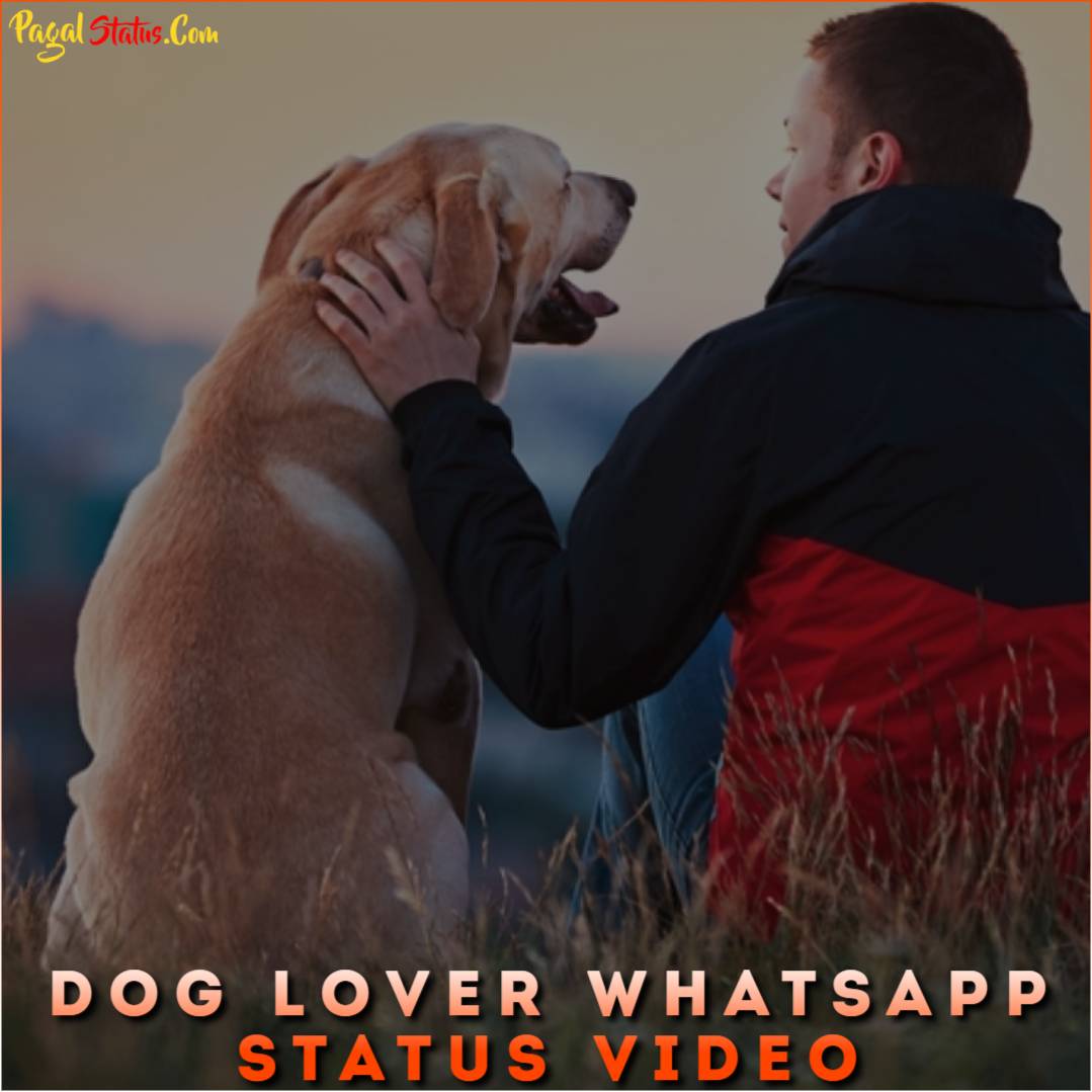 Dog Lover Whatsapp Status Video Download, Dog Lovers Status Video