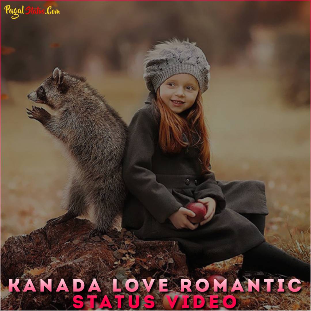 Kanada Love Romantic Status Video