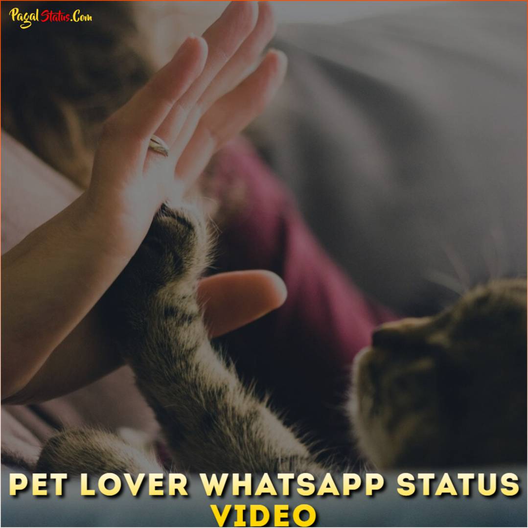 Pet Lover Whatsapp Status Video Download, Pet Lover 4k Status Videos