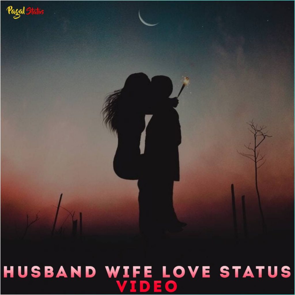 Husband Wife Love Status Video