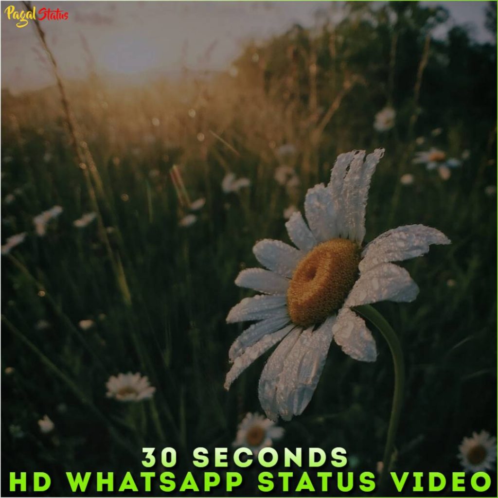 30 Seconds HD Whatsapp Status Video