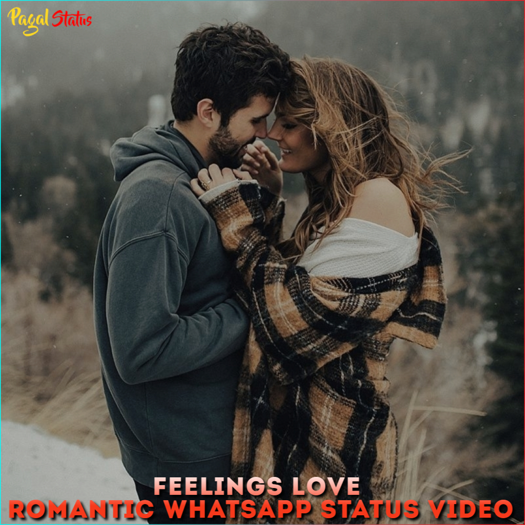 Feelings Love Romantic Whatsapp Status Video