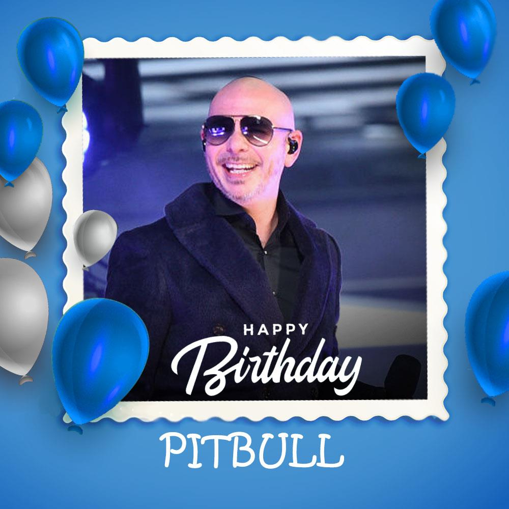 Pitbull Happy Birthday Whatsapp Status Video