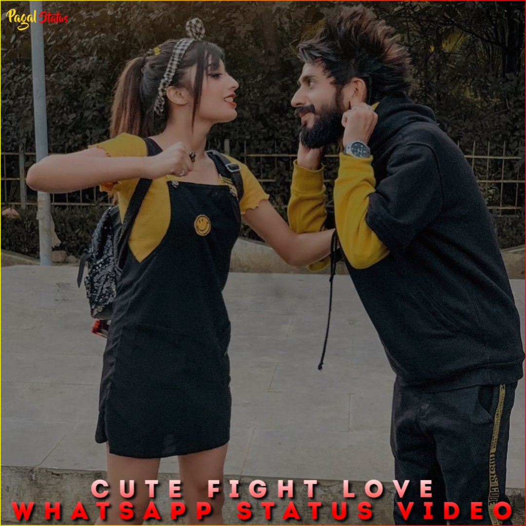 Cute Fight Love Whatsapp Status Video