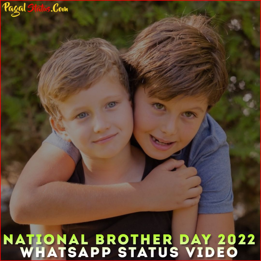National Brother Day 2022 Whatsapp Status Video