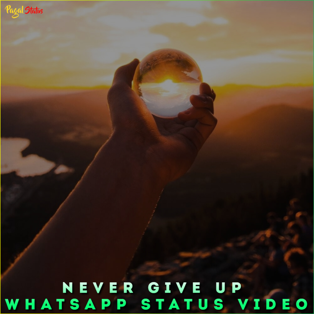 Never Give Up Whatsapp Status Video