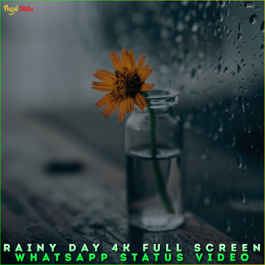 Rainy Day 4K Full Screen Whatsapp Status Video