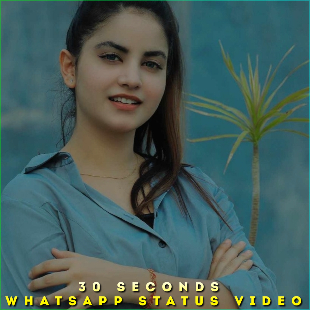 30 Seconds Whatsapp Status Video