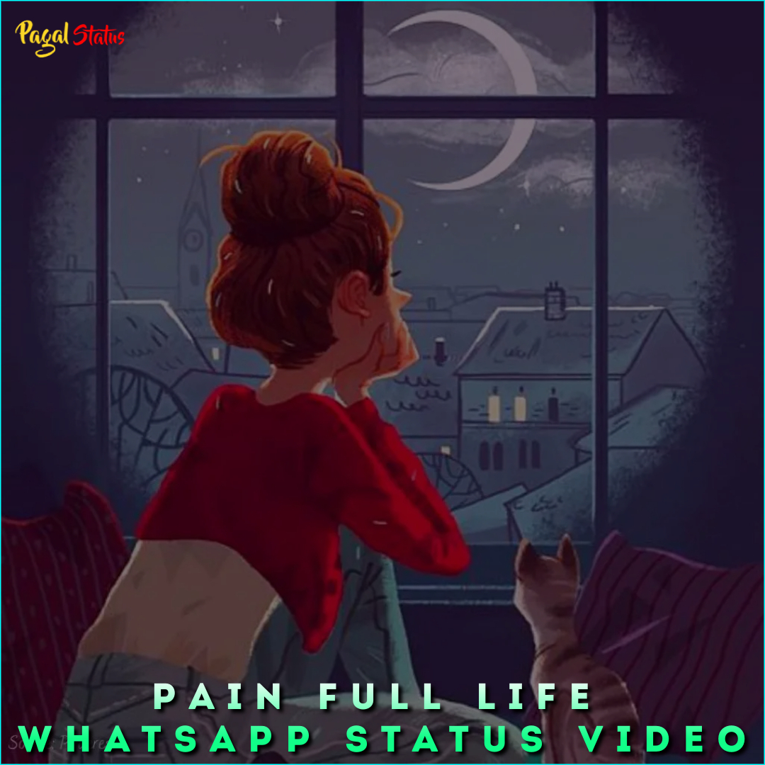 Pain Full Life Whatsapp Status Video