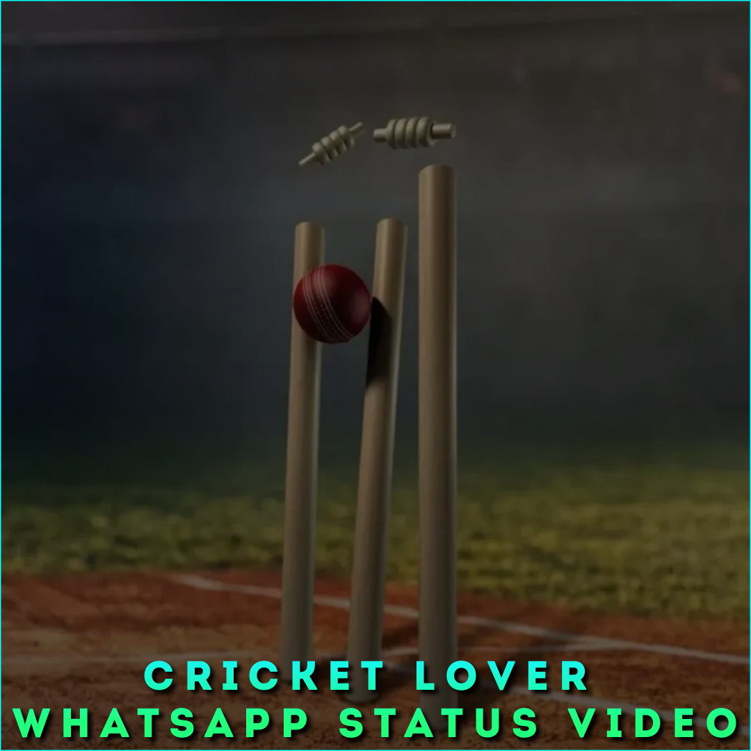 Cricket Lover Whatsapp Status Video Download HD Full Screen