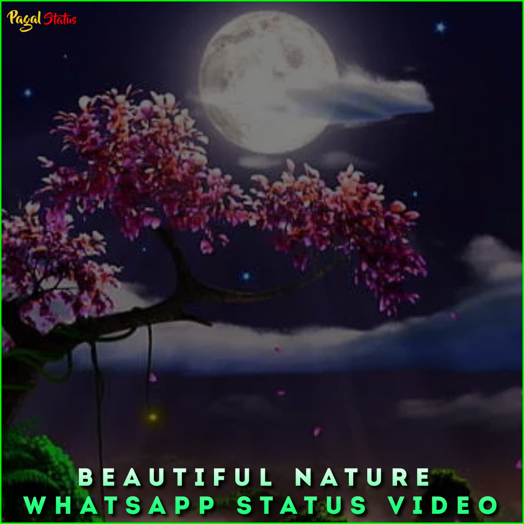 Beautiful Nature Whatsapp Status Video