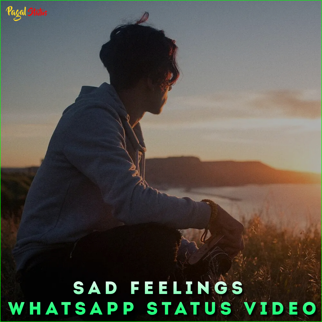 Sad Feelings Whatsapp Status Video