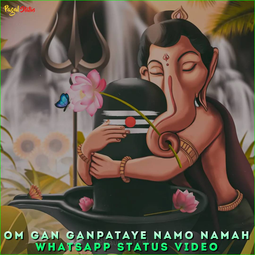 Om Gan Ganpataye Namo Namah Whatsapp Status Video