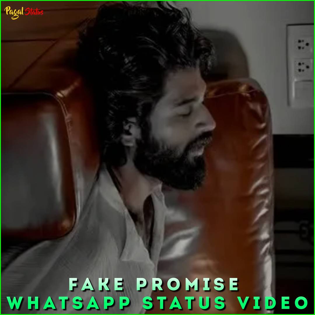 Fake Promise Whatsapp Status Video