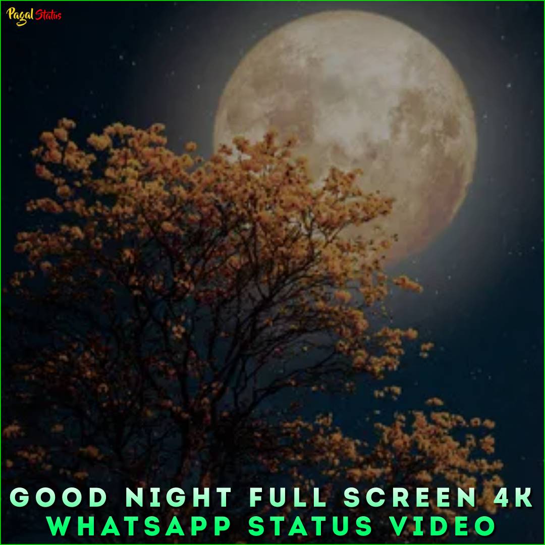 Good Night Full Screen 4k Whatsapp Status Video