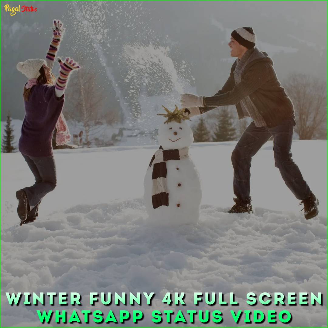 Winter Funny 4K Full Screen Whatsapp Status Video