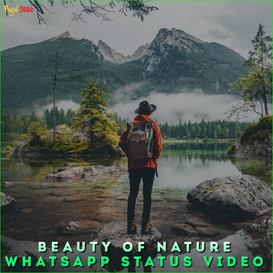 Beauty Of Nature Whatsapp Status Video