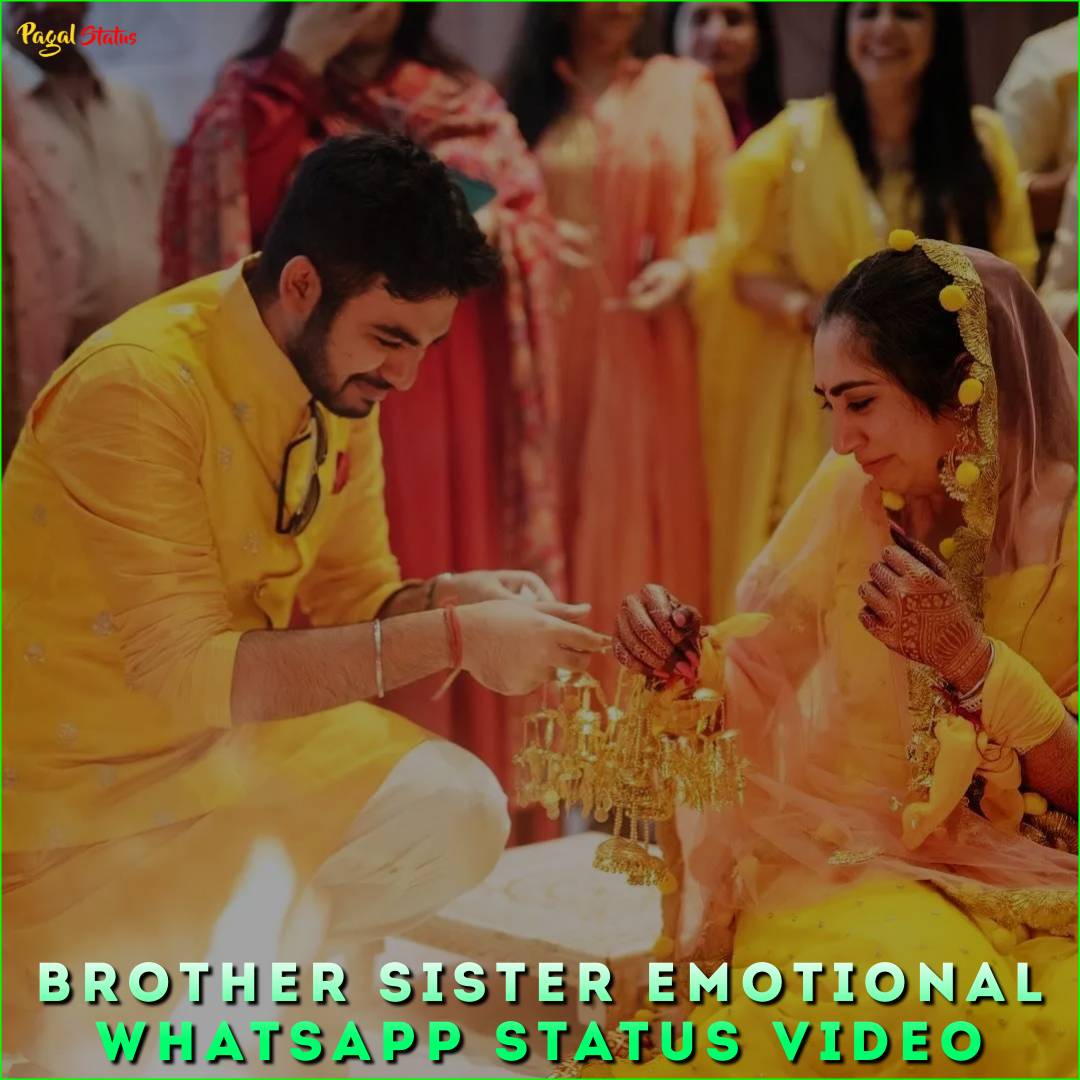 Brother Sister Emotional Whatsapp Status Video