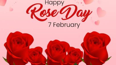 7 February Rose Day 2024 Whatsapp Status Video
