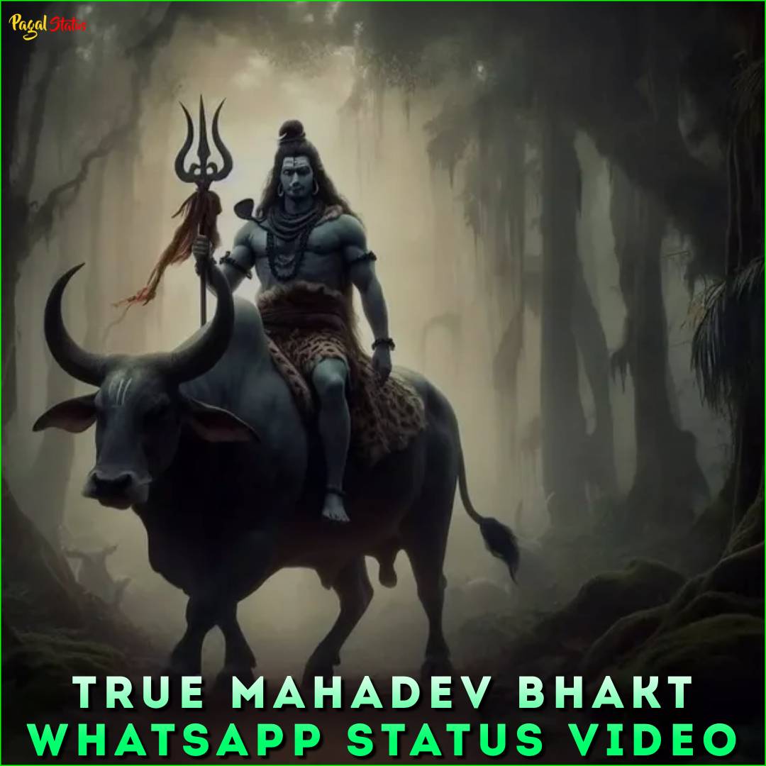 True Mahadev Bhakt Whatsapp Status Video