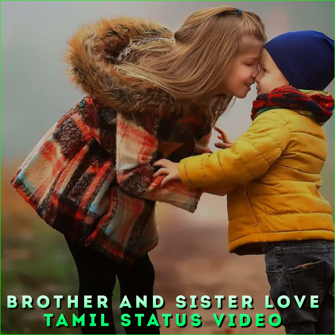 Brother And Sister Love Tamil Status Video