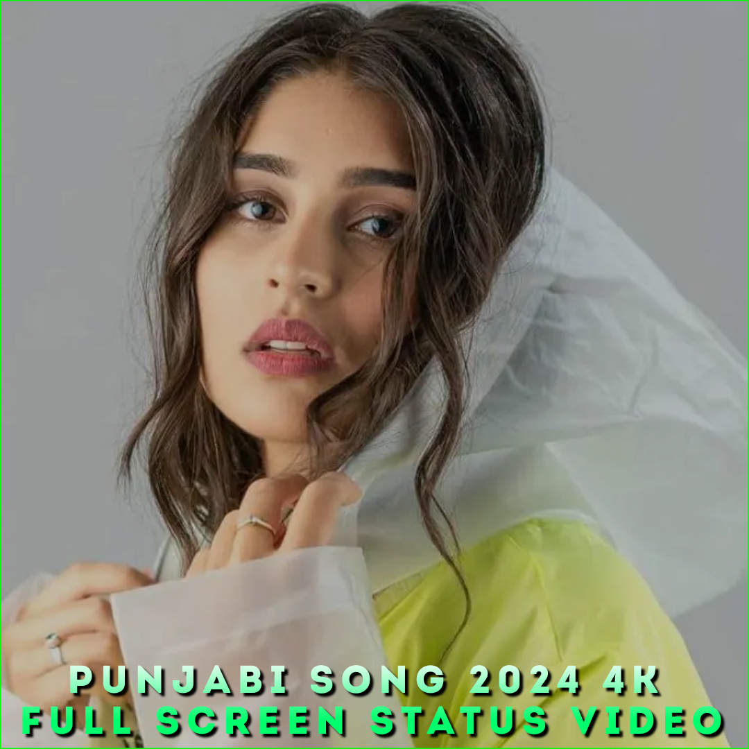 Punjabi Song 2024 4K Full Screen Status Video