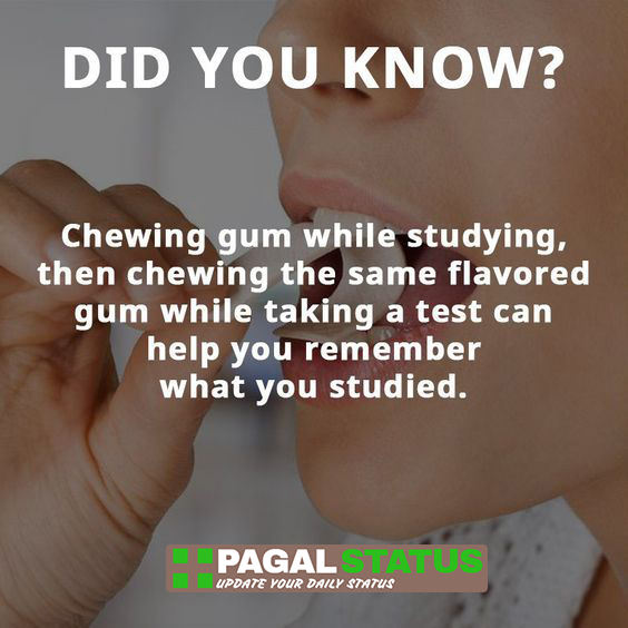 did you know? chewing gum while studying, then chewing the same flavoured gum while taking a test can help you remember what you studied