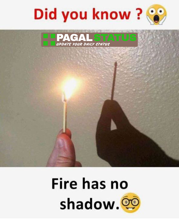 did you know? fire has no shadow,  Interesting Whatsapp Status