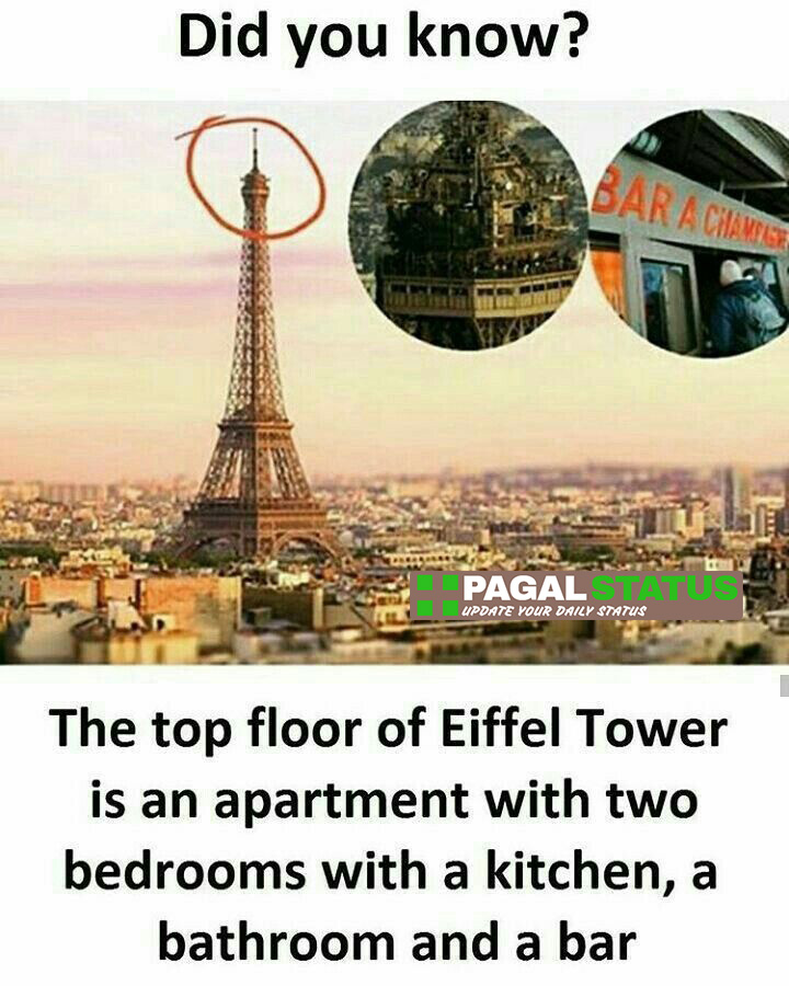 The top floor of Eiffel tower is an apartment with two bedrooms with a kitchen, a bathroom and a bar,  Interesting Whatsapp Status