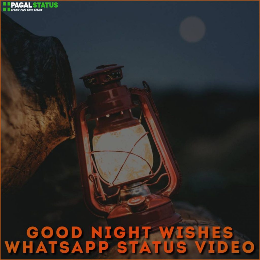 Good Night Wishes Whatsapp Status Video Download