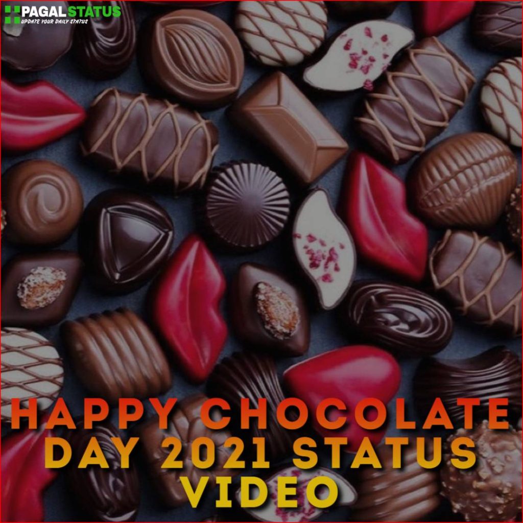 Happy Chocolate Day 2021 Status Video