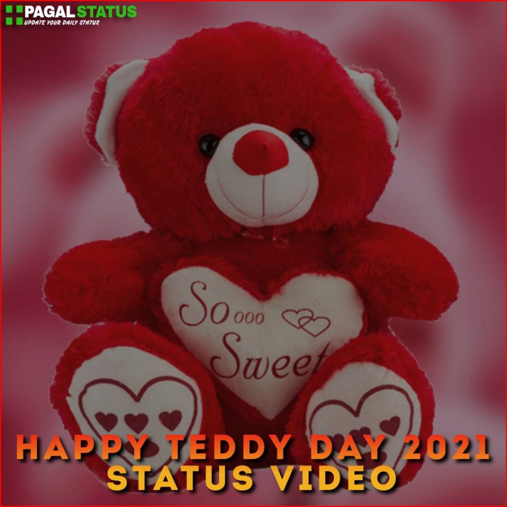 Happy Teddy Day 2021 Status Video Download