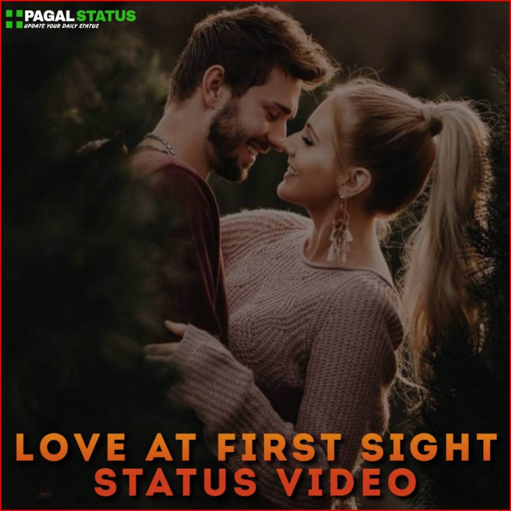 Love At First Sight Status Video Download