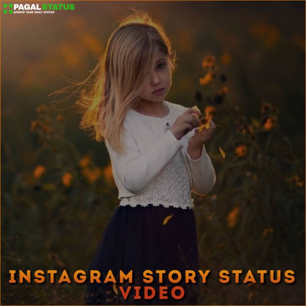 Instagram Story Status Video Download
