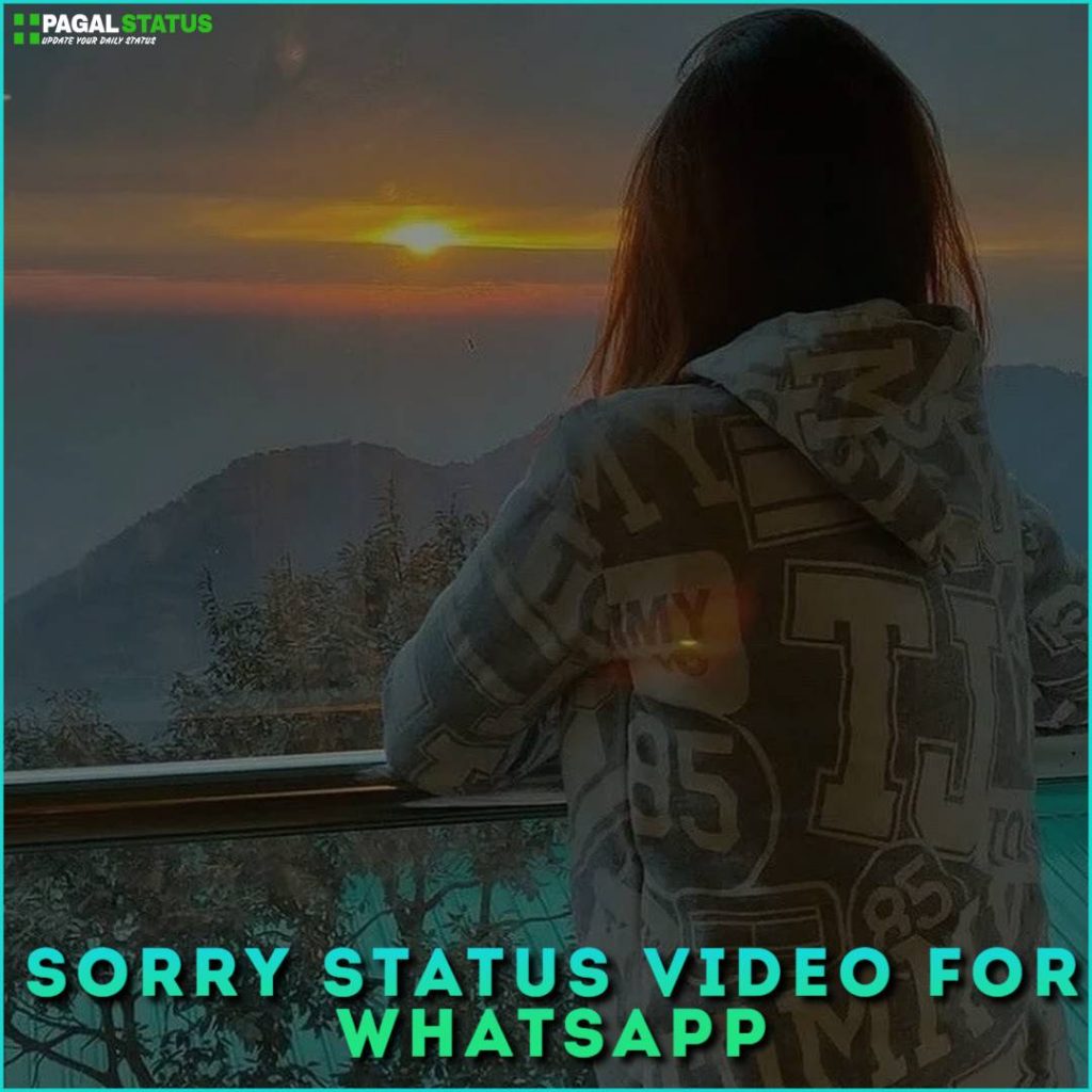Sorry Status Video For Whatsapp