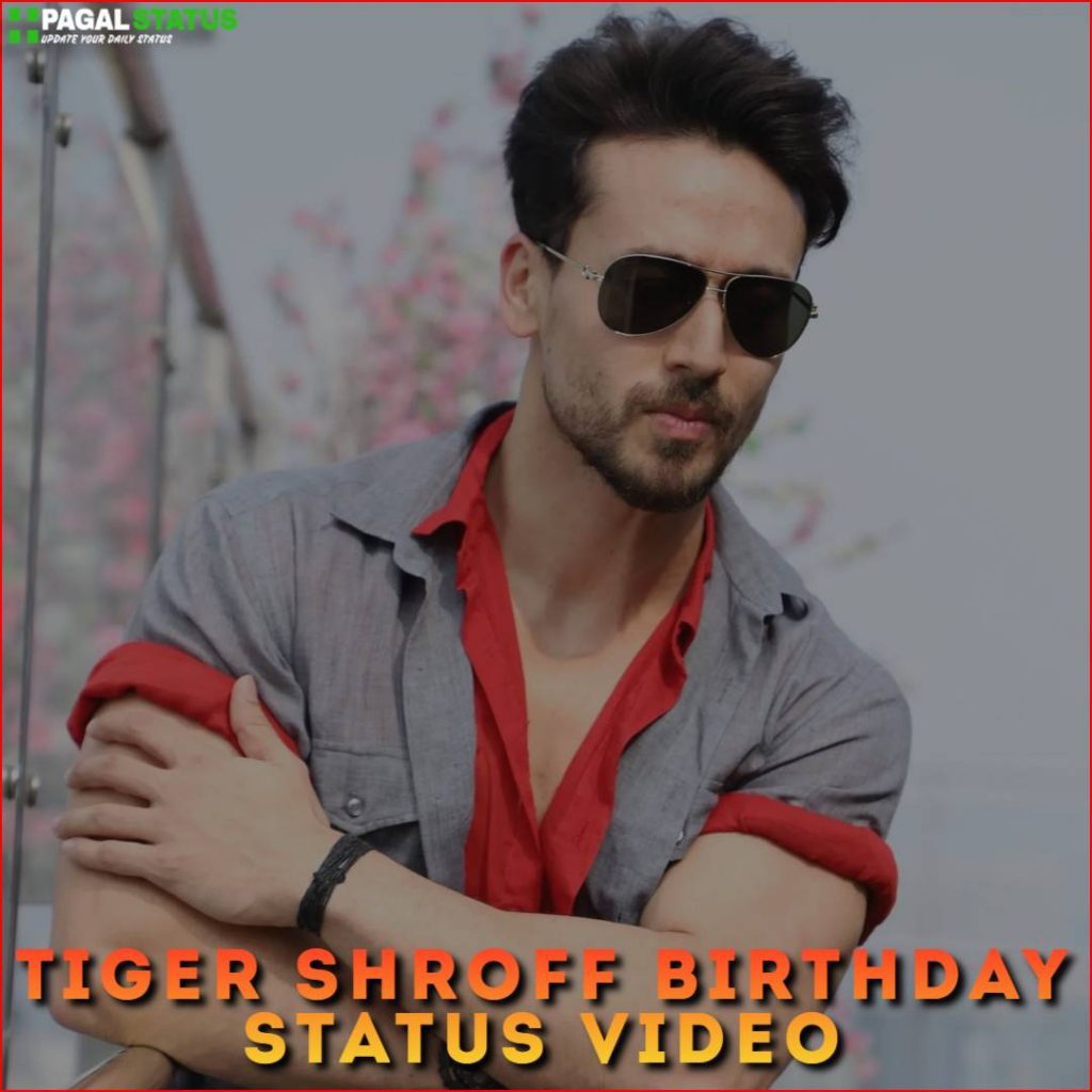 Tiger Shroff Birthday Status Video
Download