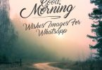 Good Morning Wishes Images For Whatsapp