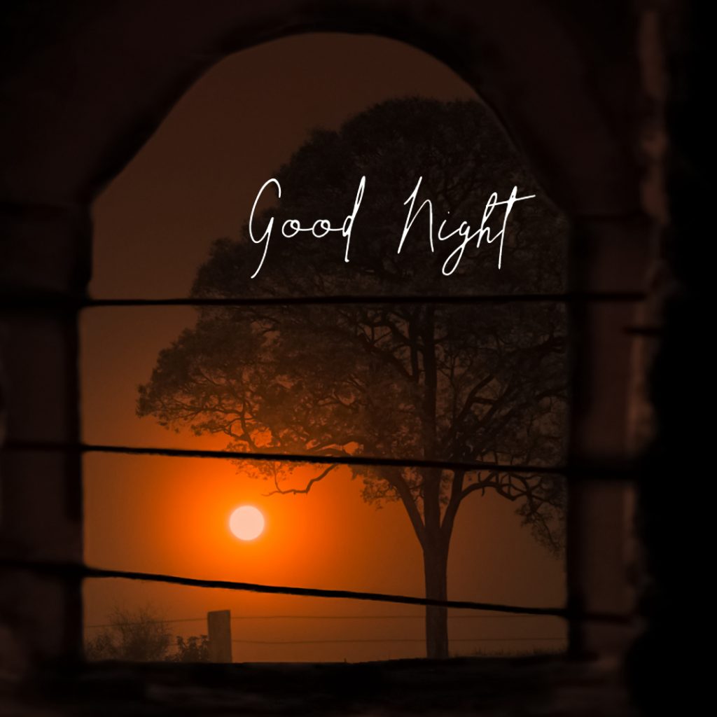 Good Night Wishes Images For Whatsapp