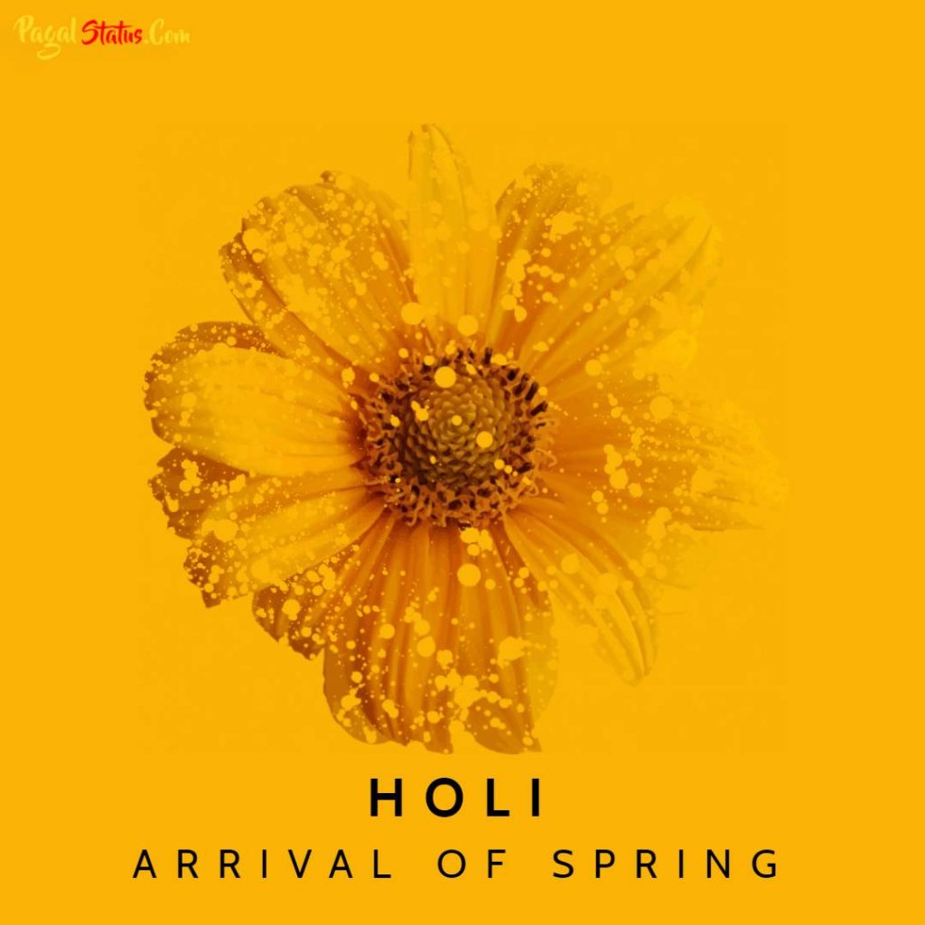 Happy Holi 2021 HD Images 