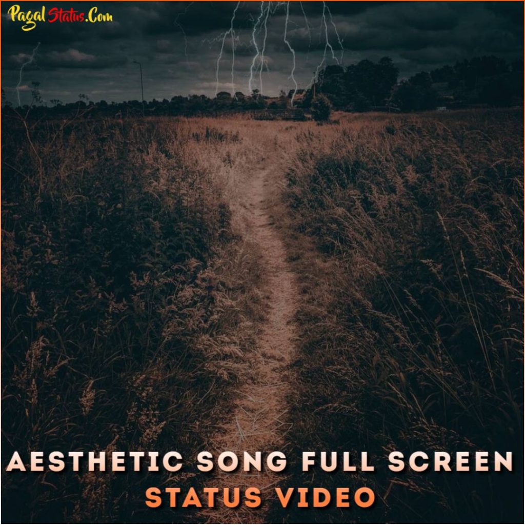 Aesthetic Song Full Screen Status Video
