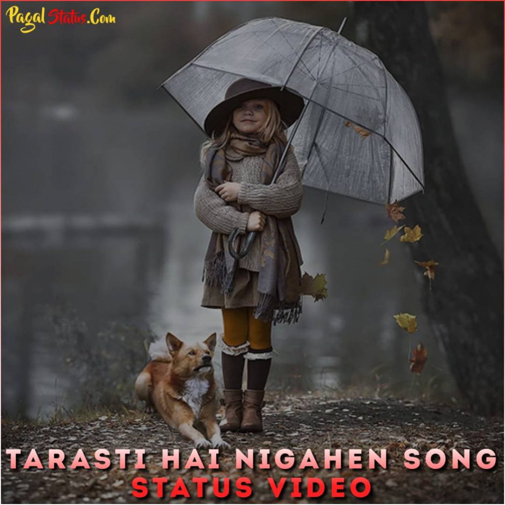 Tarasti Hai Nigahen Song Status Video 